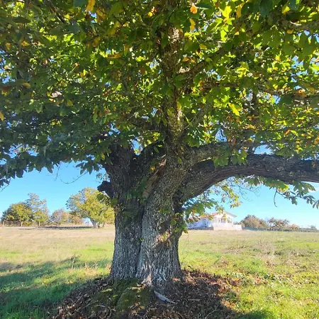 “Casa Abella “ Nyaraló