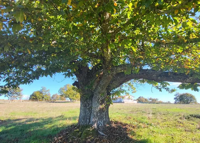 “Casa Abella “ Hébergement de vacances