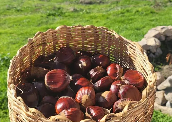 “Casa Abella “ Hébergement de vacances *